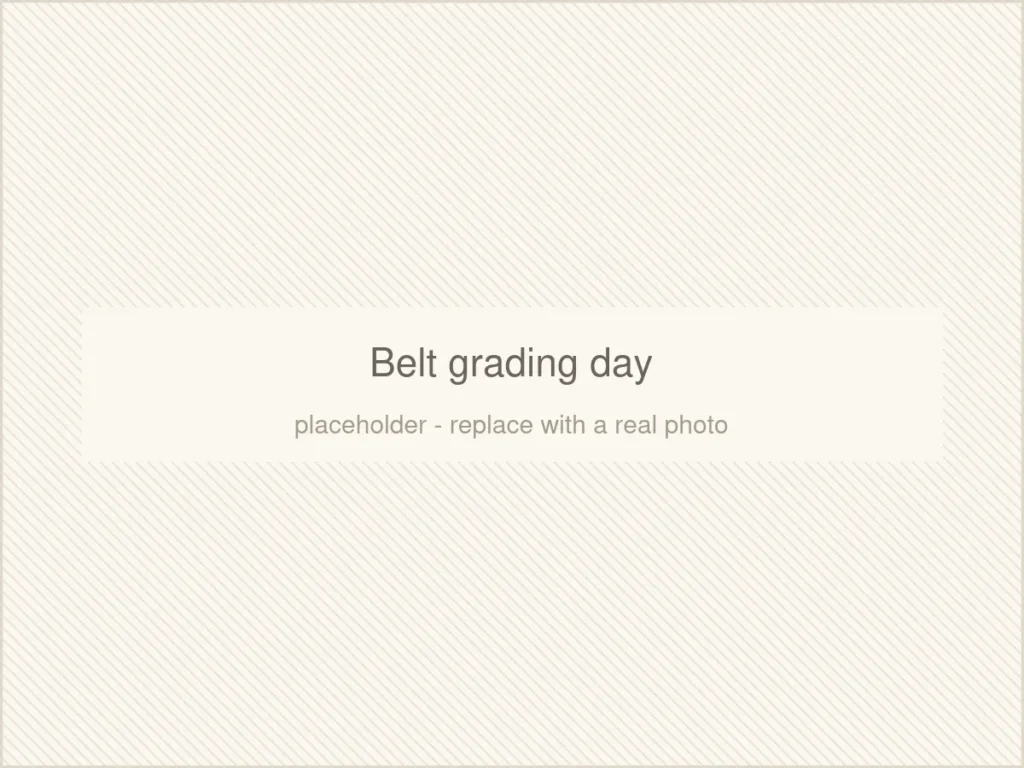Belt grading day (placeholder image)